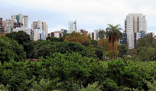 Voluntários plantam 800 árvores em Parque de Águas Claras
