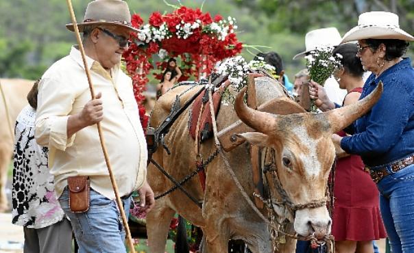 Animais e carroças foram enfeitados  para participar do cortejo pelas principais ruas da cidade 