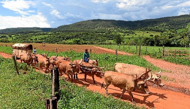 Os produtores saíram de povoados da região: alguns viajaram por até três para chegar à sede do município