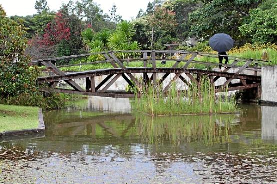 Com construções de madeira para receber visitantes e pesquisadores, parque tem 1,6 mil espécies nativas e 800 de outros biomas (Mariana Machado/Esp. CB/D.A Press)