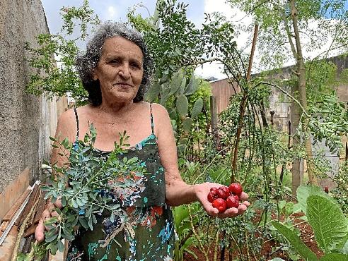 Dona Nilda transformou um ponto de descarte de entulho em plantação de orgânicos (Mariana Machado/Esp. CB/D.A Press - 19/2/19)