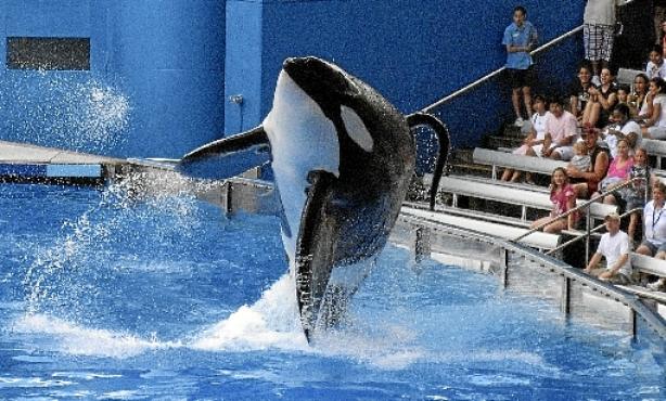  (Mathieu Belanger/Reuters - 25/2/10 )