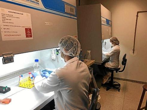 Pesquisadores trabalham para reduzir a toxicidade da quimioterapia  (João Paulo Longo/UNB)