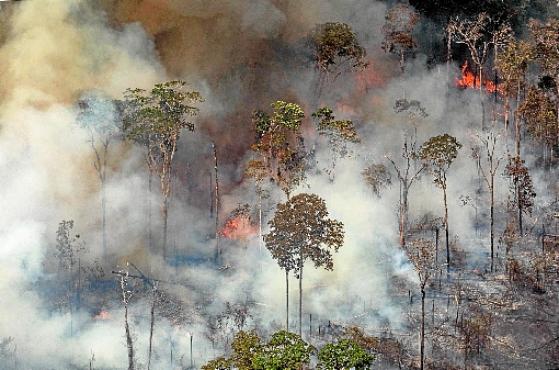 A publicação lembrou que o presidente brasileiro, Jair Bolsonaro,  amenizou os incêndios e os atribuiu a ONGs (Victor Moriyama/AFP - 24/8/19
)