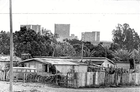 Por muitos anos, as edificações de madeira 