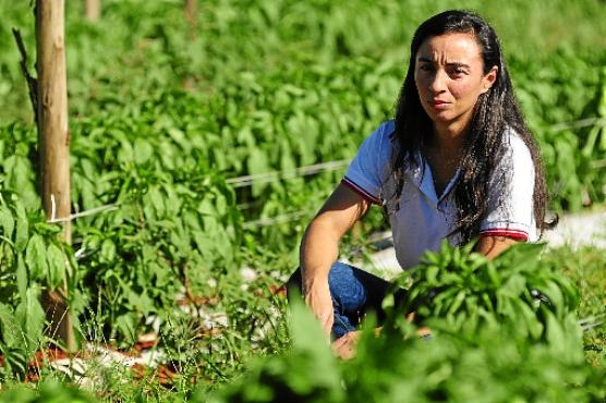 Administradora da cooperativa Cooper-Horti, Márcia Aparecida lamenta o momento: 