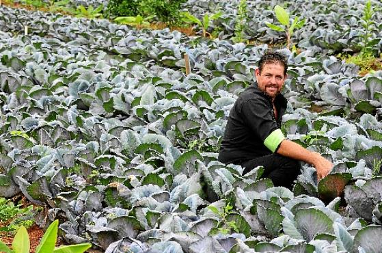 Presidente da Coopermista, Ivan Engler comemorou o auxílio governamental para a compra de alimentos (Carlos Vieira/CB/D.A Press)