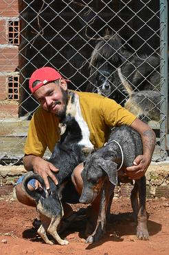 Na chácara onde Jaciel Dias mora, 134 cães aguardam para serem adotados: mais de 40 resgatados só durante a pandemia (Marcelo Ferreira/CB/D.A Press)