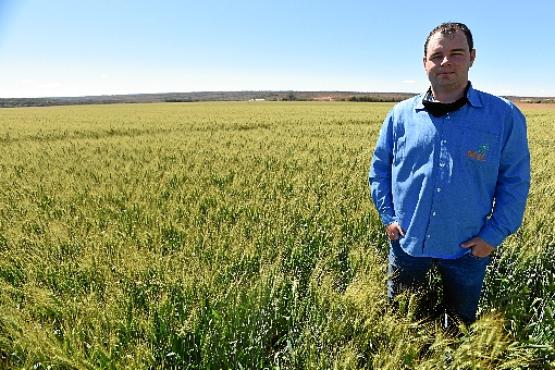 William Matte também cultiva trigo: investimento em tecnologia para melhorar o plantio (ED Alves/CB/D.A Press)