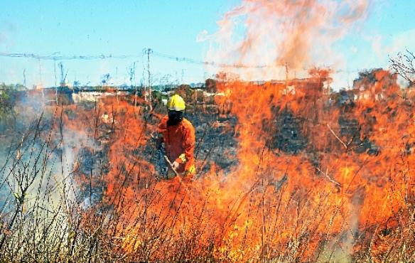 Incêndio florestal antigiu área no SIA, próximo ao Lúcio Costa, no Guará (Ed Alves/CB/D.A Press)