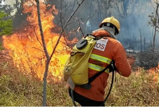 Incêndio consumiu parte da reserva florestal do Palácio do Jaburu, ontem. Trinta e cinco militares e sete viatuaras atuaram na ocorrência (CBMDF/Divulgação)