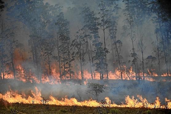 Nos últimos dias, brasilienses acompanham queimadas pelo DF, como no Parque Nacional e na Floresta Nacional de Brasília  ( Minervino Júnior/CB/D.A Press)