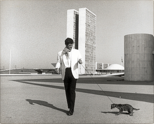 Ator francês Jean Paul Belmondo morreu ontem, %u201Ctranquilamente%u201D, aos 88 anos 

Símbolo da Nouvelle Vague, ator conhecido por dar vida a grandes personagens esteve em Brasília (foto), em 1963, onde gravou cenas do filme O homem do Rio. (Cinemateca Brasileira/Divulgação)